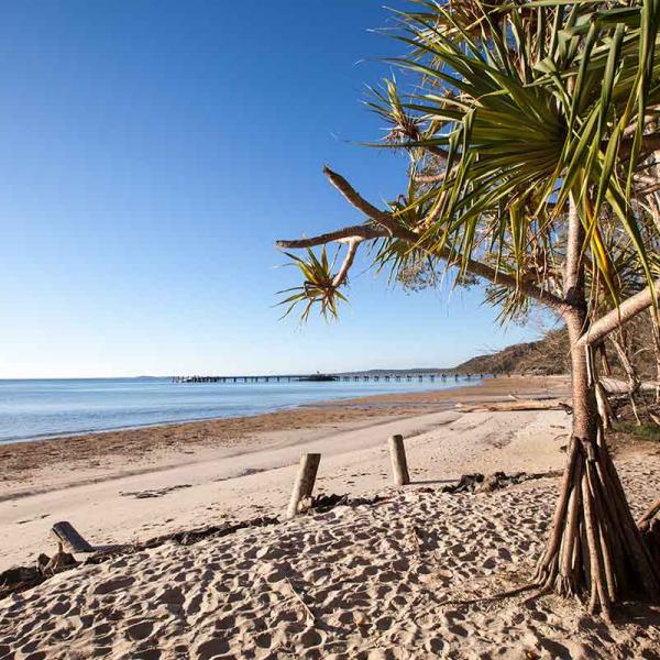 Why Fraser Island?